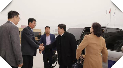 йϵľ35222vip(ɷ)޹˾