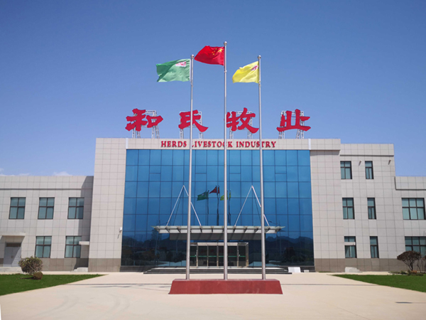 йϵľ35222vip(ɷ)޹˾