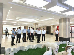 йϵľ35222vip(ɷ)޹˾